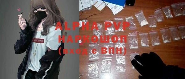 PSILOCYBIN Снежногорск
