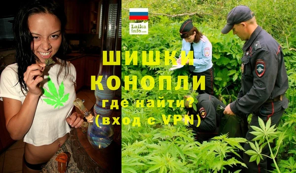 шишки Снежинск