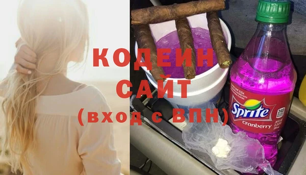 шишки Снежинск